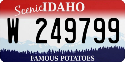ID license plate W249799