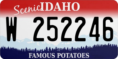ID license plate W252246