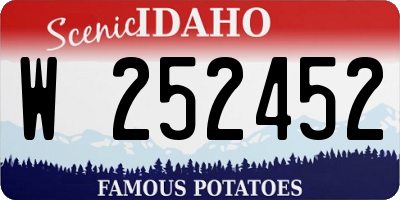 ID license plate W252452