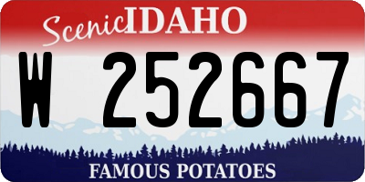ID license plate W252667