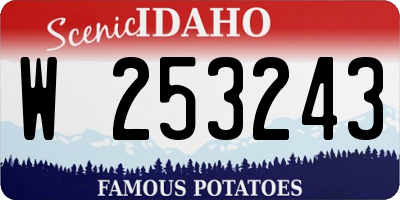 ID license plate W253243
