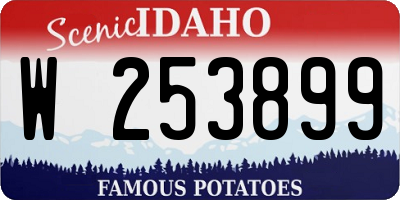 ID license plate W253899