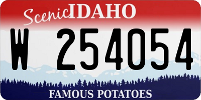 ID license plate W254054