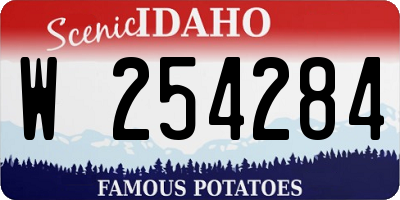 ID license plate W254284