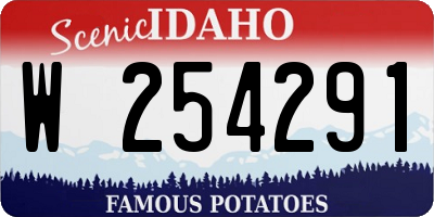 ID license plate W254291