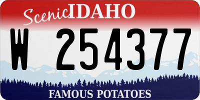 ID license plate W254377