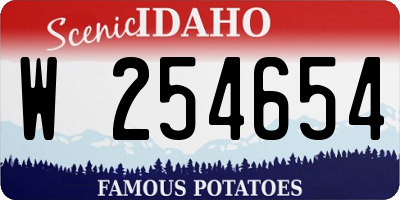 ID license plate W254654