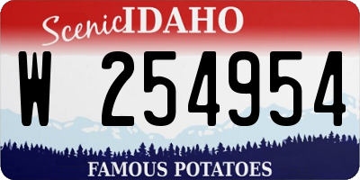 ID license plate W254954