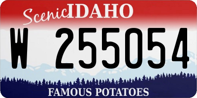 ID license plate W255054