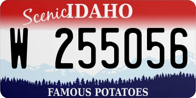 ID license plate W255056