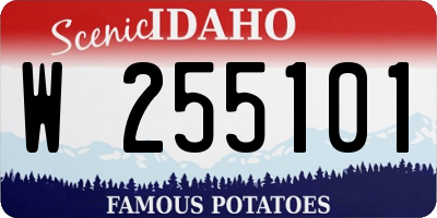ID license plate W255101