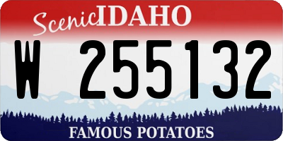 ID license plate W255132