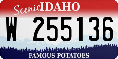 ID license plate W255136