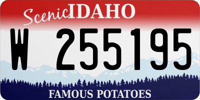 ID license plate W255195