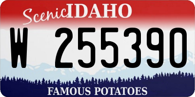ID license plate W255390