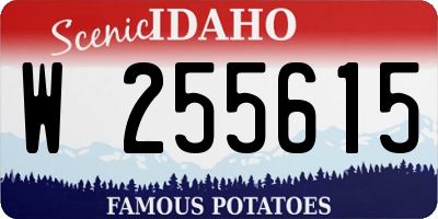 ID license plate W255615