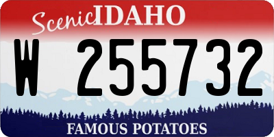 ID license plate W255732