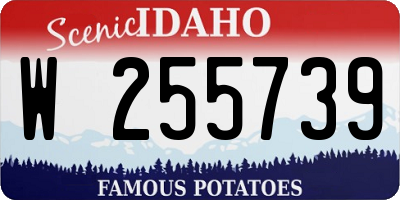 ID license plate W255739