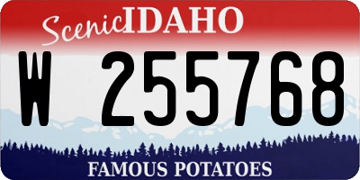 ID license plate W255768