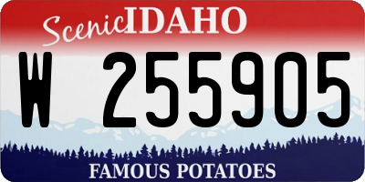 ID license plate W255905