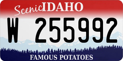 ID license plate W255992