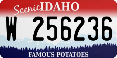 ID license plate W256236