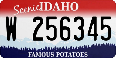 ID license plate W256345