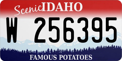 ID license plate W256395