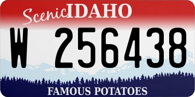 ID license plate W256438