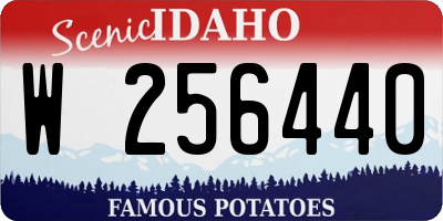 ID license plate W256440