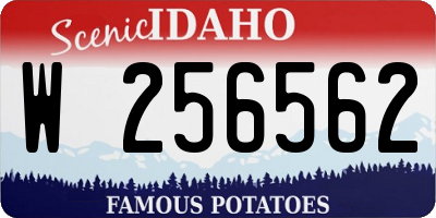 ID license plate W256562