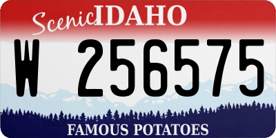 ID license plate W256575