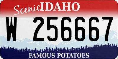 ID license plate W256667