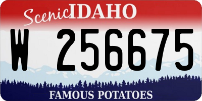 ID license plate W256675
