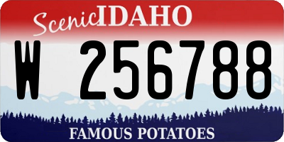 ID license plate W256788