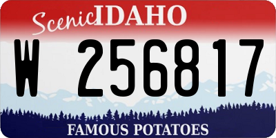 ID license plate W256817