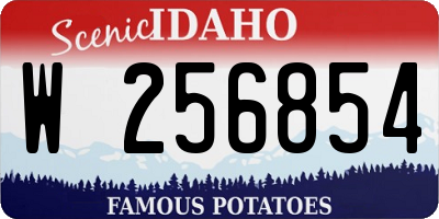 ID license plate W256854