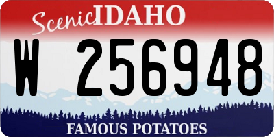 ID license plate W256948