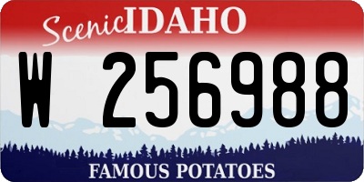 ID license plate W256988
