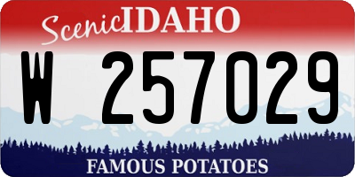 ID license plate W257029