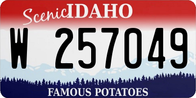 ID license plate W257049