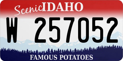 ID license plate W257052