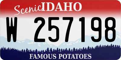 ID license plate W257198