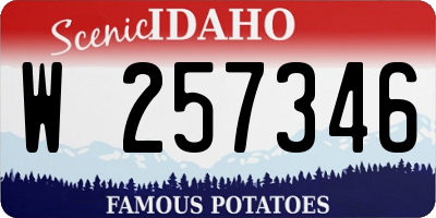 ID license plate W257346