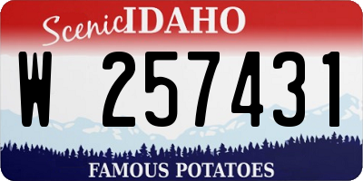 ID license plate W257431