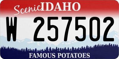 ID license plate W257502