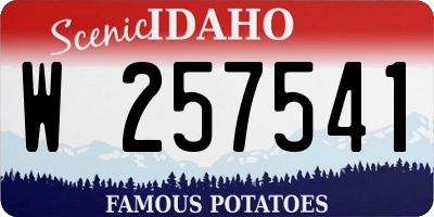 ID license plate W257541