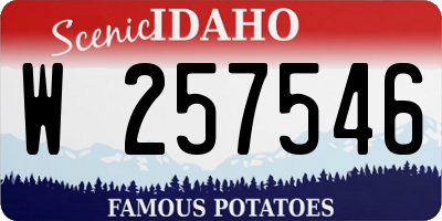 ID license plate W257546