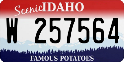 ID license plate W257564