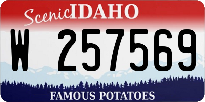 ID license plate W257569